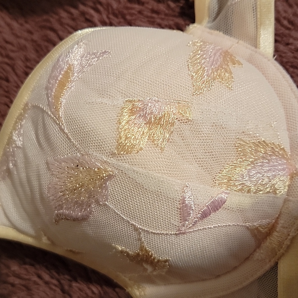Bra - Picture 2 of 4